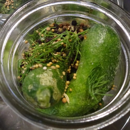 Dill Pickles